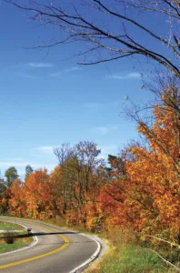Get ready for fall colors